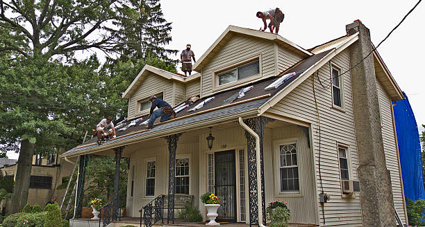 Best Metal Roofing Contractor  in San Juan, TX