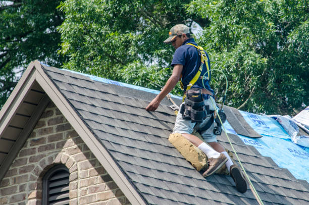 Roof Gutter Cleaning in San Juan, TX